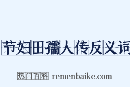 节妇田孺人传反义词是什么意思的图片